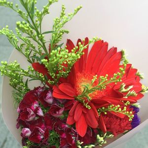 Meet your Posher, Michelle